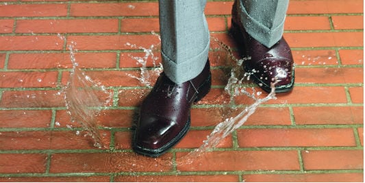 3-in-1 protection for Leather Shoes 
